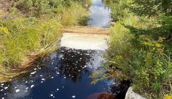 Polyuréthane Québec